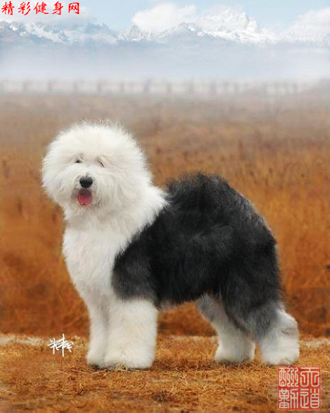 nEO_IMG_古牧.jpg