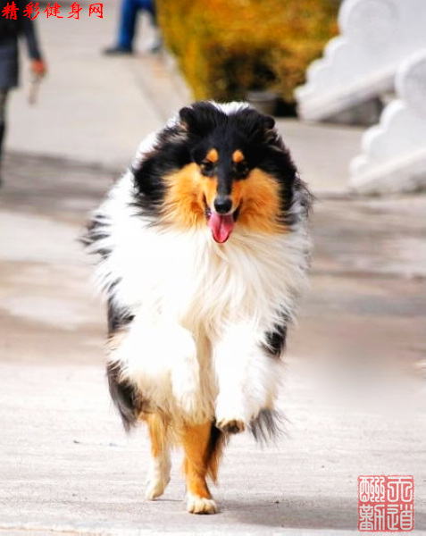 nEO_IMG_苏牧.jpg