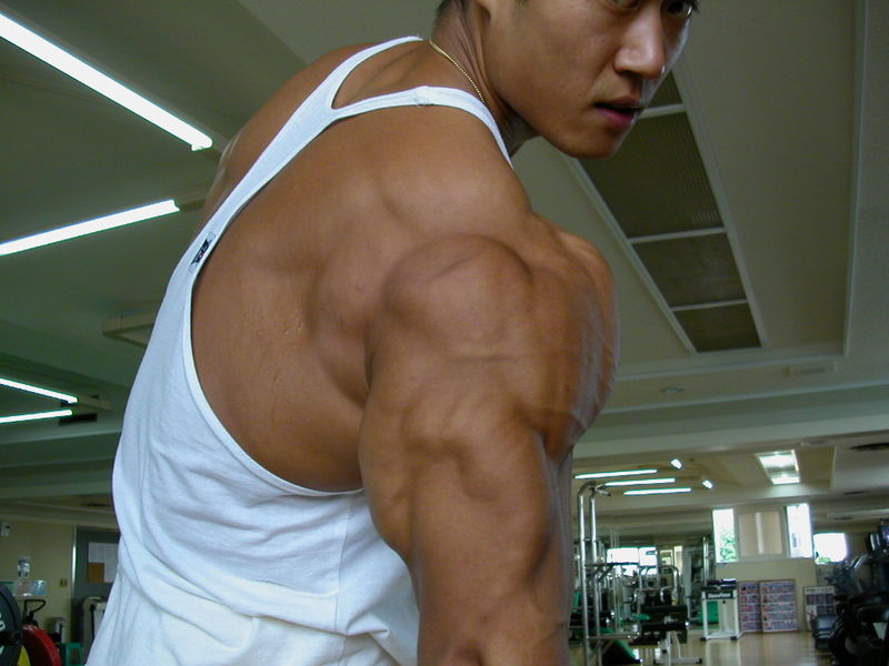 b5f77bb701e5f8d731add186.jpg