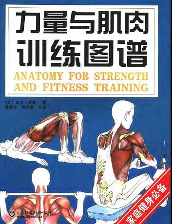 力量与肌肉训练图谱.jpg