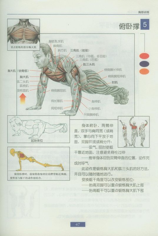 臣3.jpg