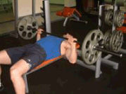 1.gif
