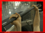 11.gif