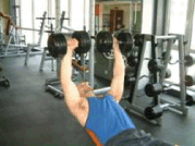 8.gif