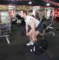 14.gif