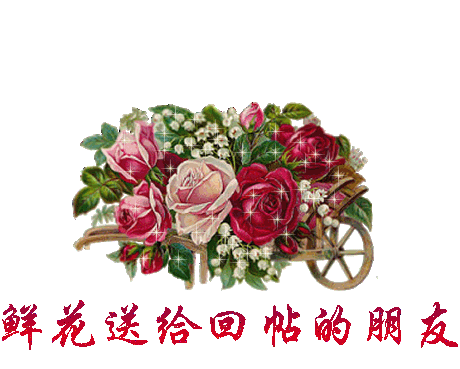 1502d1fq1189ec_2f971f.jpg