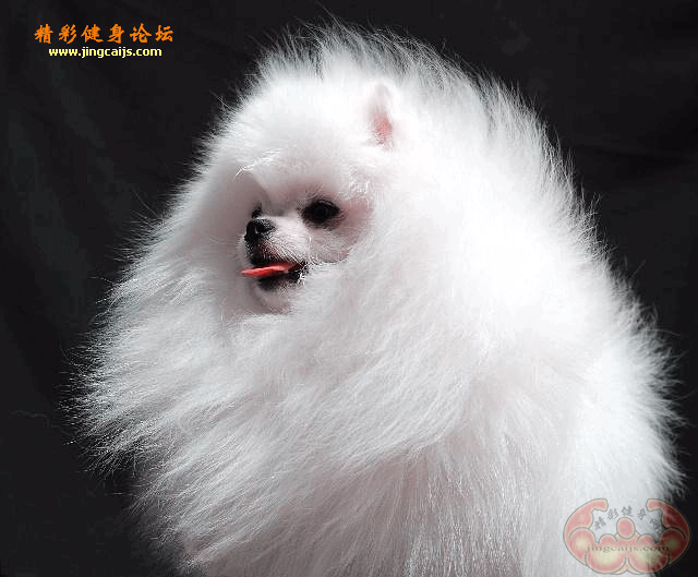 帅哥云龙3.jpg