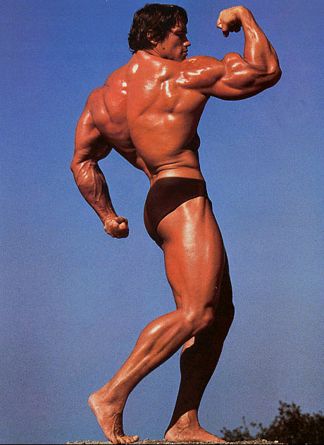 48.jpg