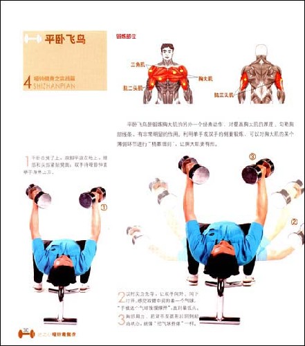 15.jpg