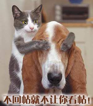 哈哈.jpg