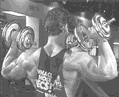 4.gif
