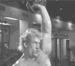 16.gif