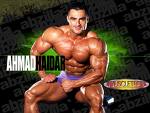 Ahmad Haidar.jpg