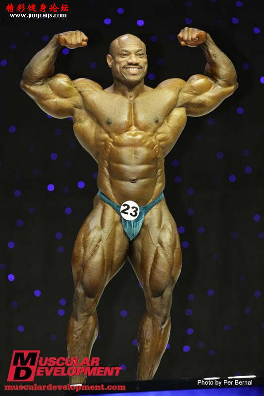 41.jpg