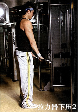 8.jpg