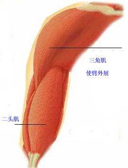 9c57e3fa574570fbb48f311f.jpg
