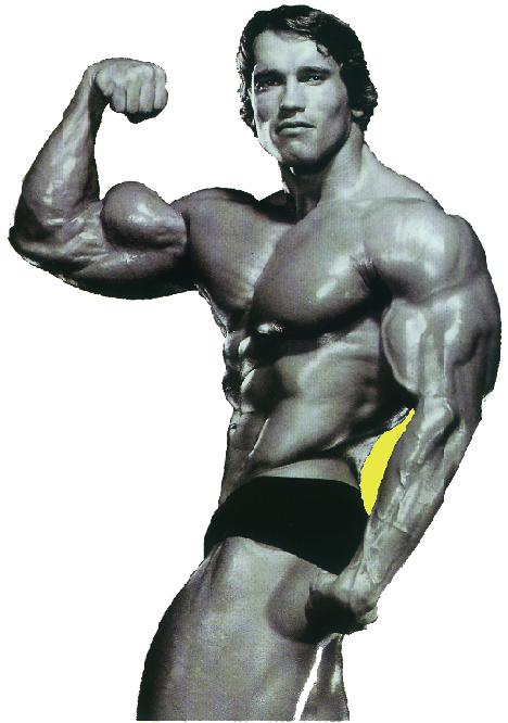 23.jpg