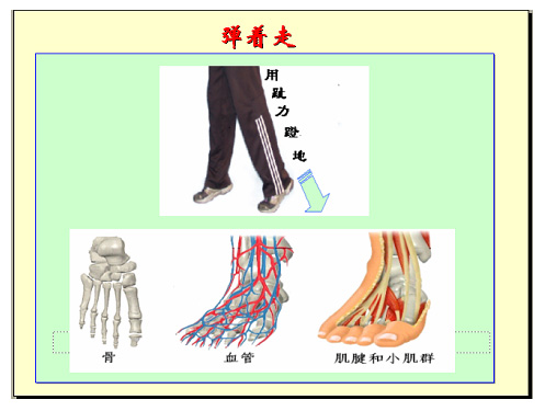 弹着走.jpg