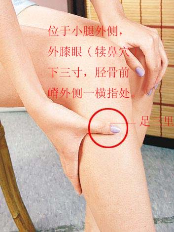 足三里.jpg