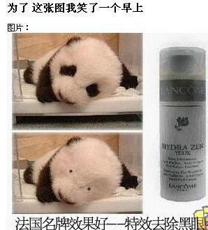 为了这张图我笑了一个早上.jpg