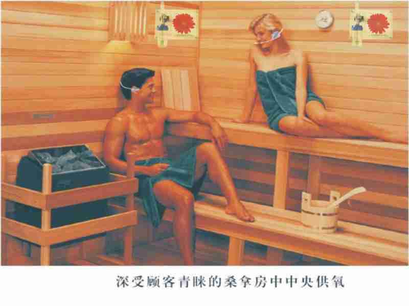 顶顶.jpg