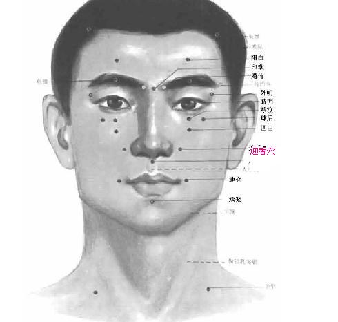 穴位.jpg
