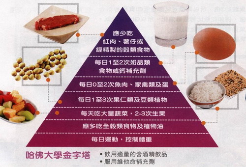 金字塔.jpg