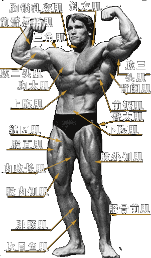 前.gif