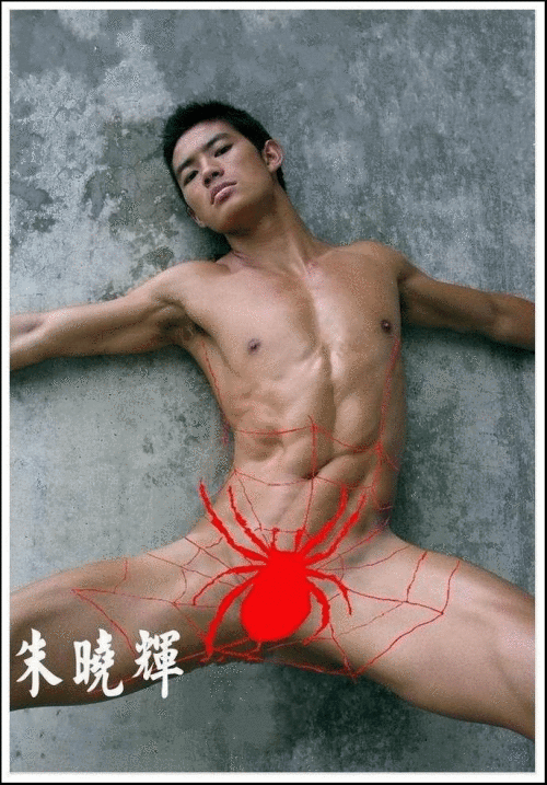 朱晓辉.gif