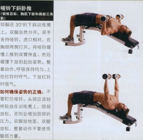 下斜哑铃卧推.jpg