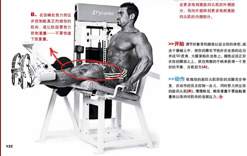 腿屈伸B.jpg