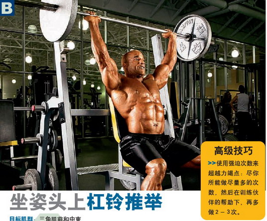 坐姿上头杠铃推举.jpg