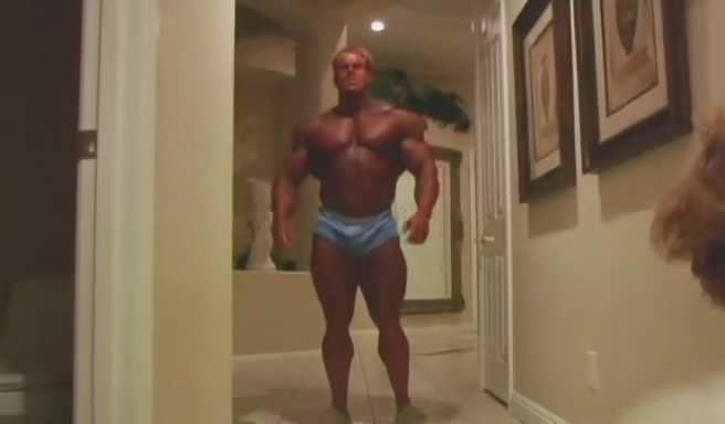 3057694.jpg
