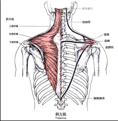 QQ截图未命名.jpg2.jpg