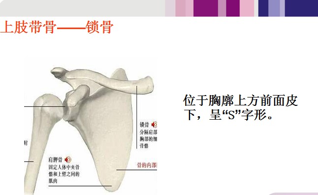 QQ截图未命名.jpg4.jpg