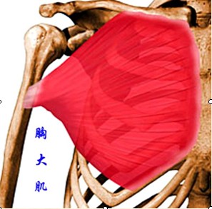 QQ截图未命名.jpg34.jpg