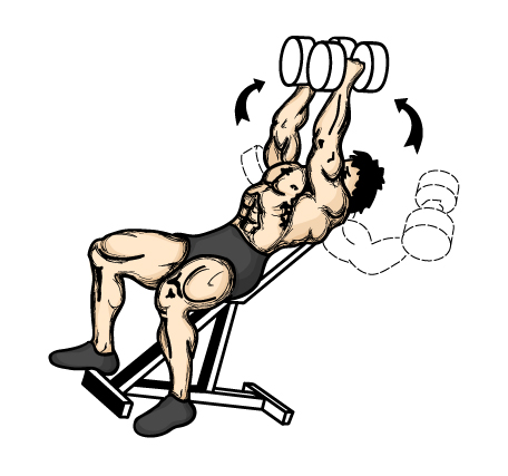 incline_fly.jpg
