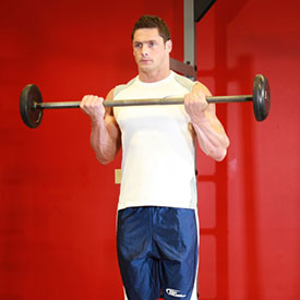 Barbell Curl.jpg