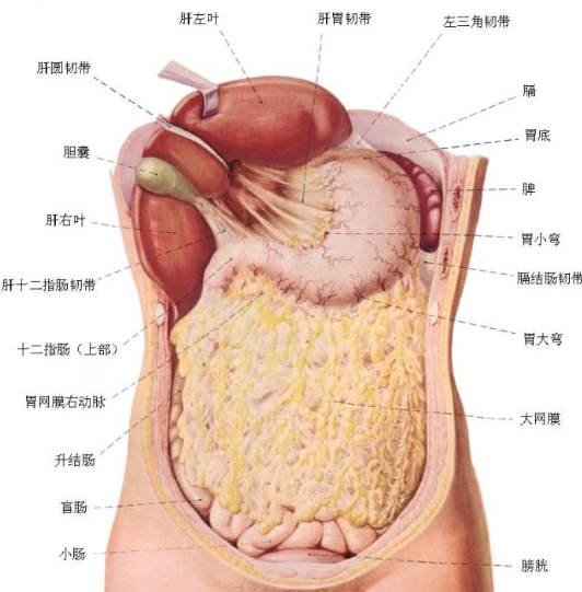 QQ截图未命名.png