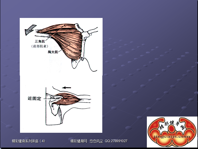 QQ截图未命名.png4.png