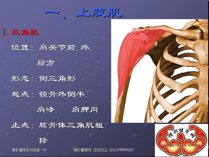 QQ截图未命名.png2.png