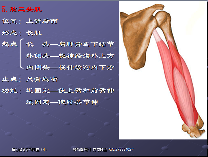 QQ截图未命名.png9.png