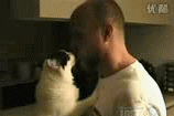 亲亲.gif