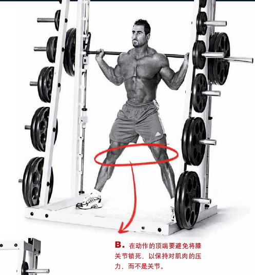 宽距深蹲.jpg