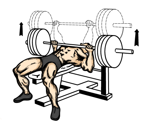 flat-bench-press.jpg
