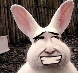 肥脸兔10.jpg