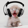 DJ CAT.gif