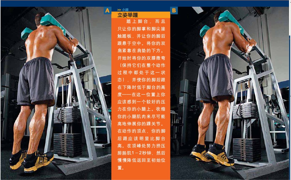 d7af9a1cb4f3f223413417e6.jpg