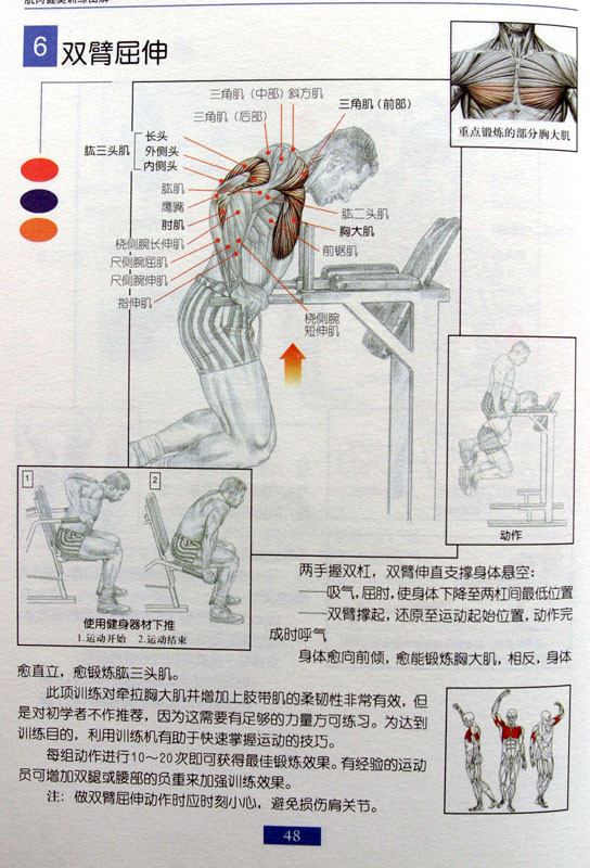 双杠.jpg