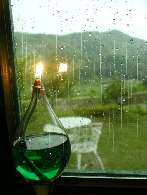 观雨.gif